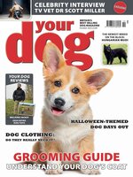Your Dog